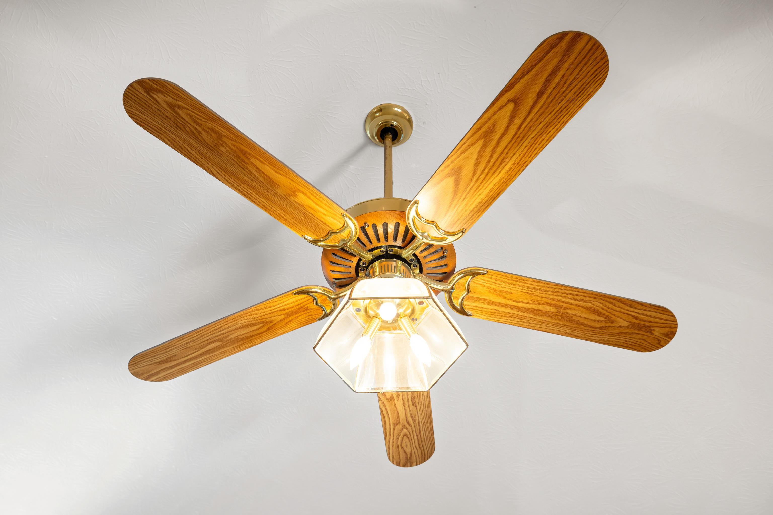 147 BON LEA DR, STAUNTON, Virginia 24401, 3 Bedrooms Bedrooms, ,2 BathroomsBathrooms,Residential,147 BON LEA DR,672829 MLS # 672829 147 BON LEA DR, STAUNTON, Virginia 24401, 3 Bedrooms Bedrooms, ,2 BathroomsBathrooms,Residential,147 BON LEA DR,672829 MLS # 672829