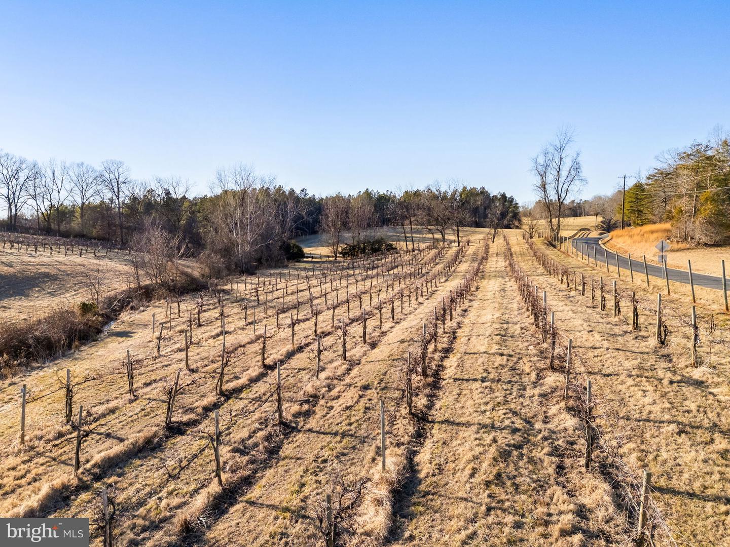 4500 WINERY LN, BARBOURSVILLE, Virginia 22923, 3 Bedrooms Bedrooms, ,3 BathroomsBathrooms,Residential,For sale,4500 WINERY LN,VAAB2001152 MLS # VAAB2001152