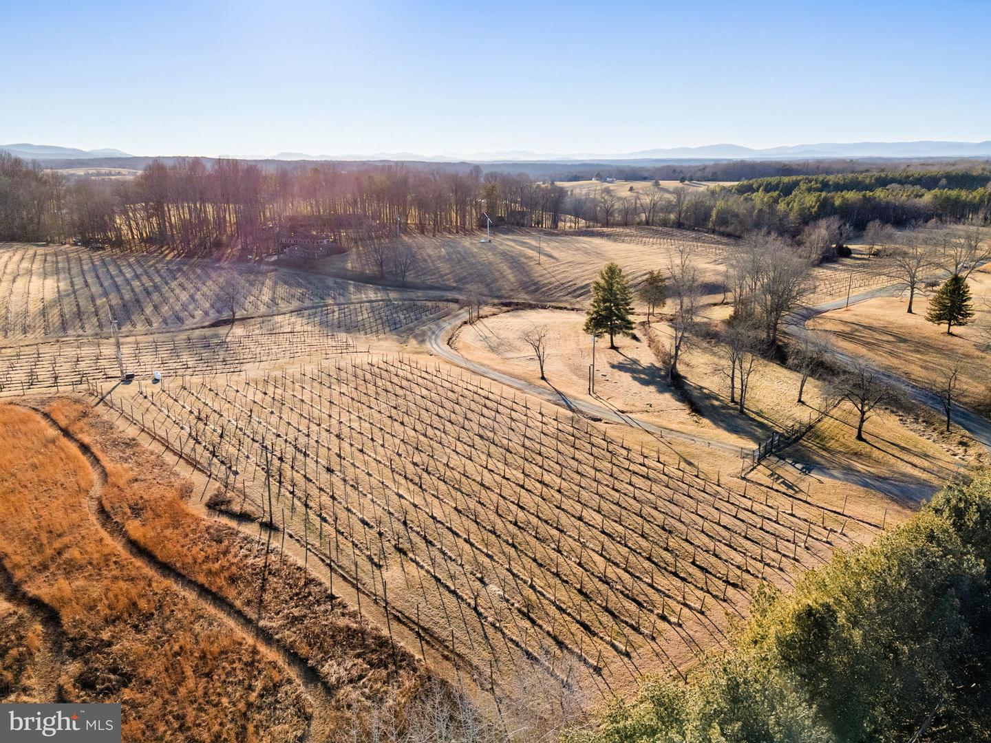 4500 WINERY LN, BARBOURSVILLE, Virginia 22923, 3 Bedrooms Bedrooms, ,3 BathroomsBathrooms,Residential,For sale,4500 WINERY LN,VAAB2001152 MLS # VAAB2001152