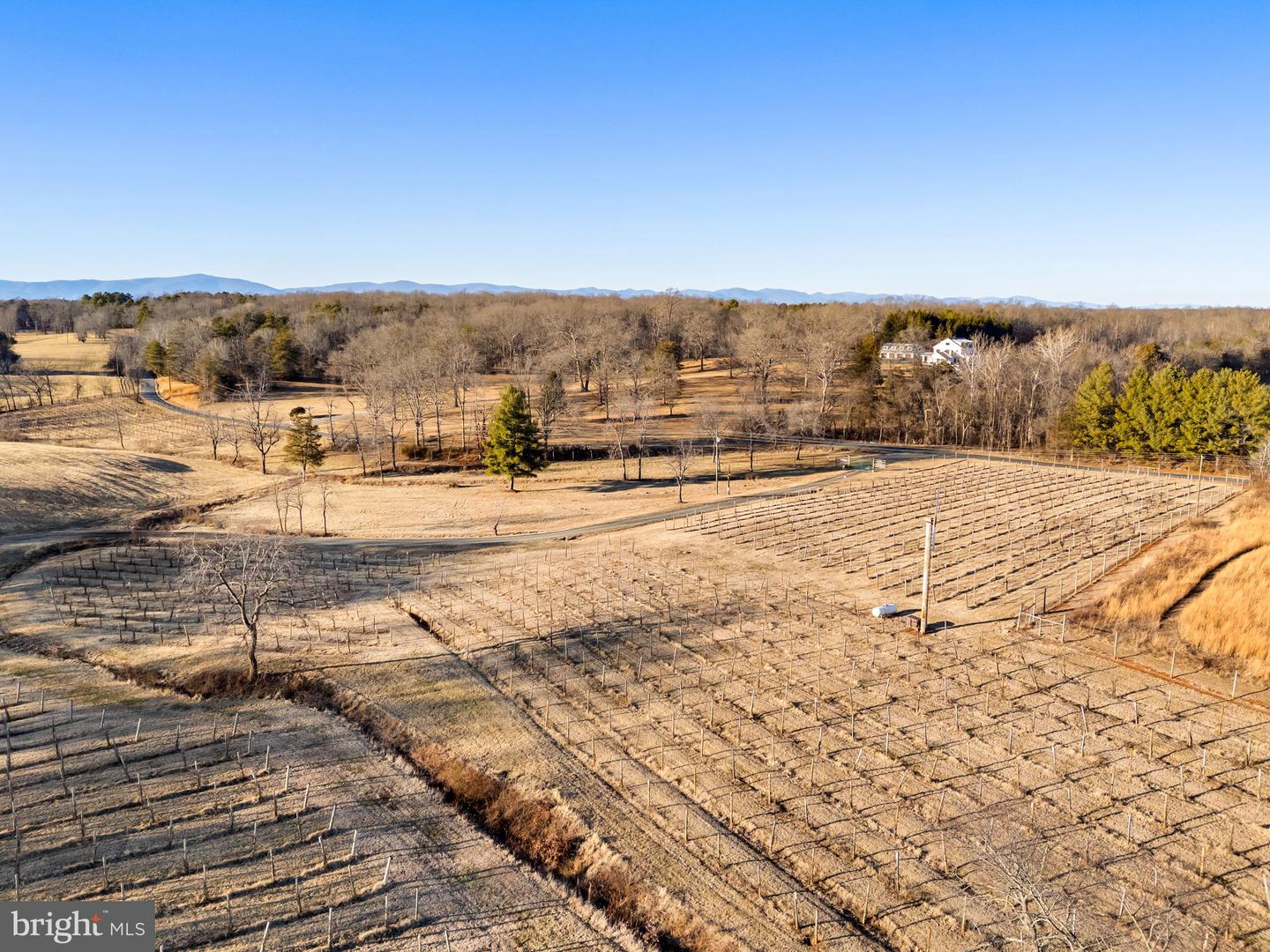 4500 WINERY LN, BARBOURSVILLE, Virginia 22923, 3 Bedrooms Bedrooms, ,3 BathroomsBathrooms,Residential,For sale,4500 WINERY LN,VAAB2001152 MLS # VAAB2001152