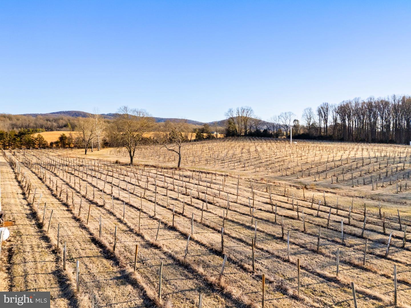 4500 WINERY LN, BARBOURSVILLE, Virginia 22923, 3 Bedrooms Bedrooms, ,3 BathroomsBathrooms,Residential,For sale,4500 WINERY LN,VAAB2001152 MLS # VAAB2001152