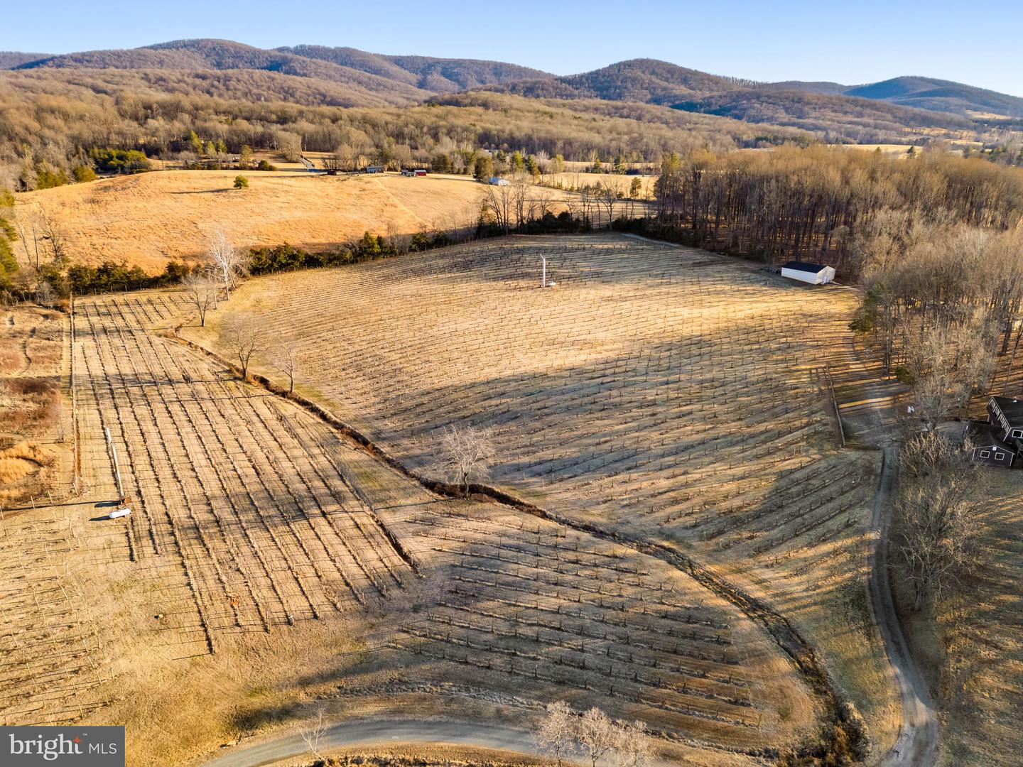 4500 WINERY LN, BARBOURSVILLE, Virginia 22923, 3 Bedrooms Bedrooms, ,3 BathroomsBathrooms,Residential,For sale,4500 WINERY LN,VAAB2001152 MLS # VAAB2001152