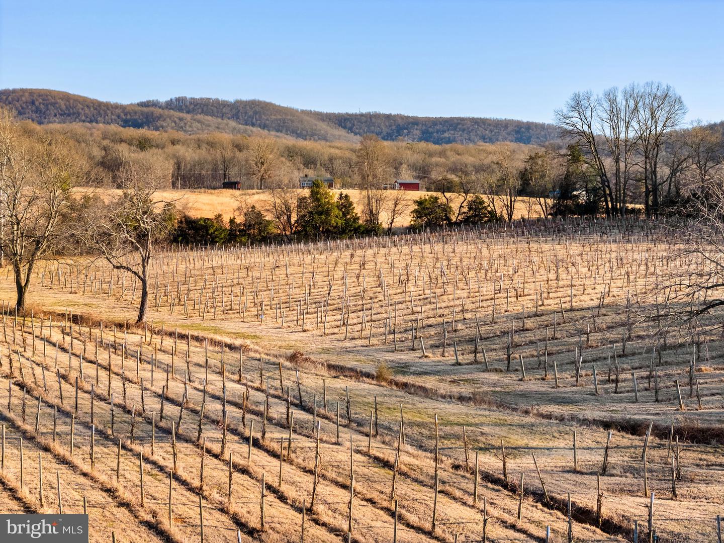 4500 WINERY LN, BARBOURSVILLE, Virginia 22923, 3 Bedrooms Bedrooms, ,3 BathroomsBathrooms,Residential,For sale,4500 WINERY LN,VAAB2001152 MLS # VAAB2001152