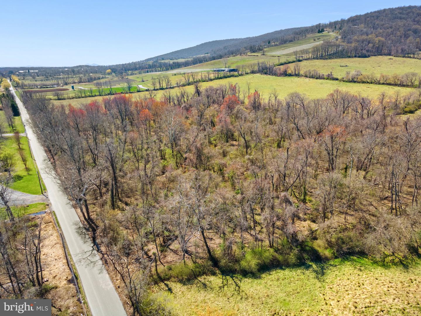 18590 APPX FOGGY BOTTOM RD., BLUEMONT, Virginia 20135, ,Land,For sale,18590 APPX FOGGY BOTTOM RD.,VALO2096590 MLS # VALO2096590