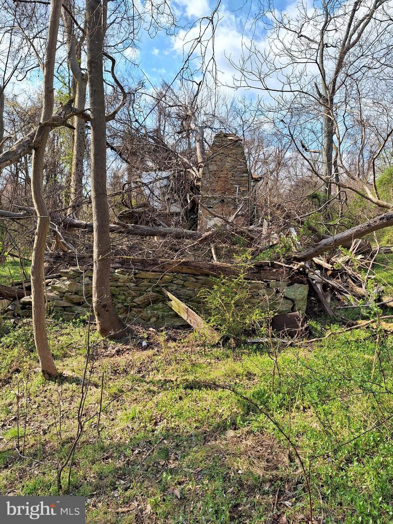 18590 APPX FOGGY BOTTOM RD., BLUEMONT, Virginia 20135, ,Land,For sale,18590 APPX FOGGY BOTTOM RD.,VALO2096590 MLS # VALO2096590