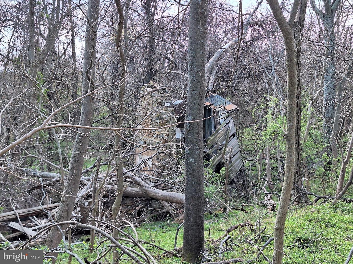 18590 APPX FOGGY BOTTOM RD., BLUEMONT, Virginia 20135, ,Land,For sale,18590 APPX FOGGY BOTTOM RD.,VALO2096590 MLS # VALO2096590