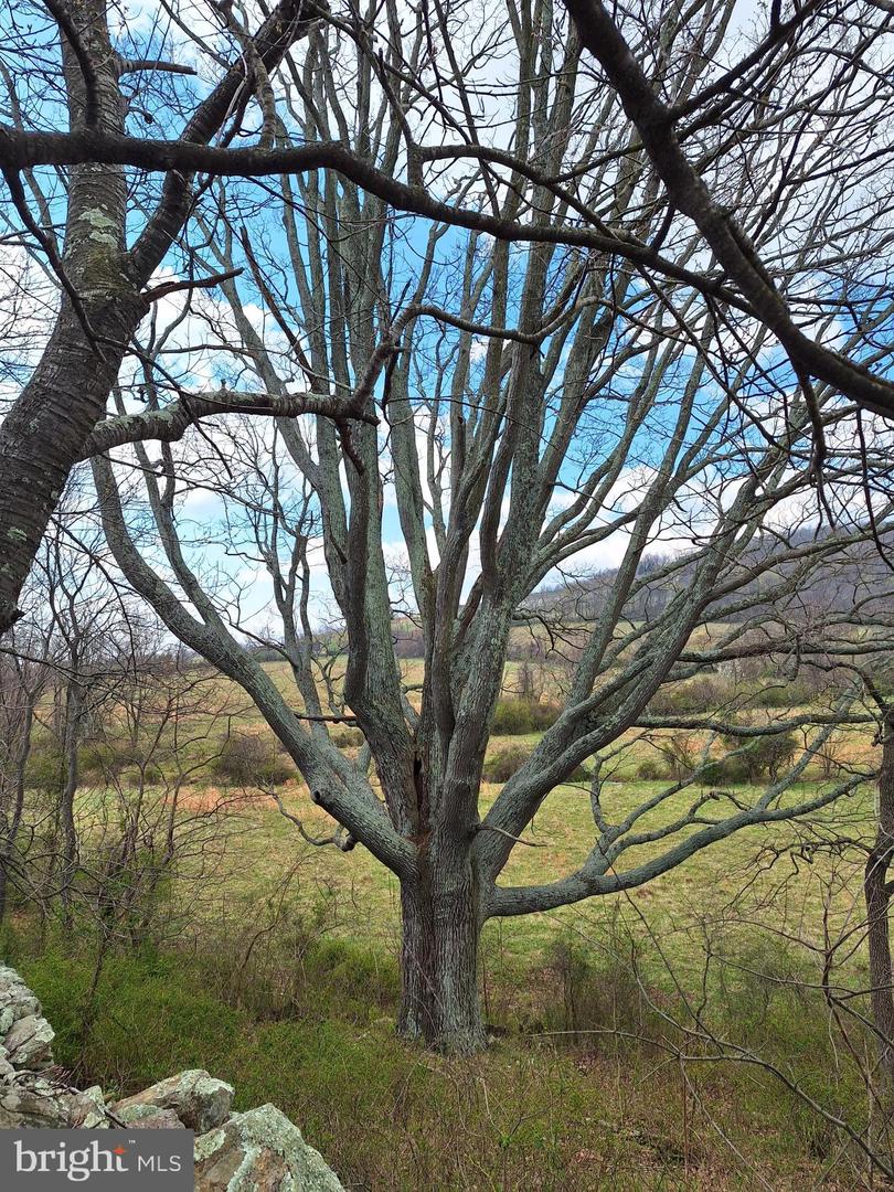 18590 APPX FOGGY BOTTOM RD., BLUEMONT, Virginia 20135, ,Land,For sale,18590 APPX FOGGY BOTTOM RD.,VALO2096590 MLS # VALO2096590