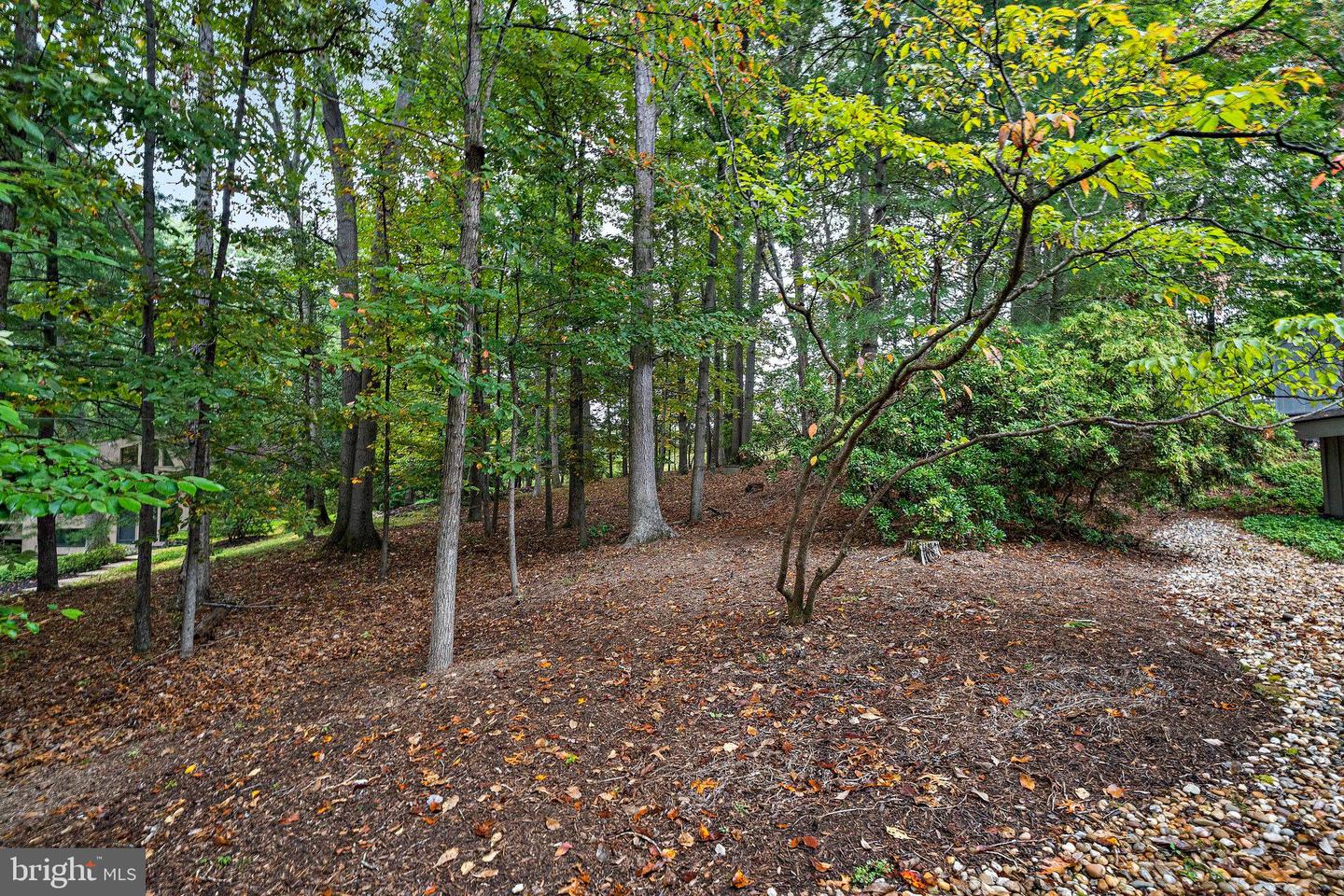 9706 BEACH MILL RD, GREAT FALLS, Virginia 22066, 4 Bedrooms Bedrooms, ,2 BathroomsBathrooms,Residential,For sale,9706 BEACH MILL RD,VAFX2272764 MLS # VAFX2272764