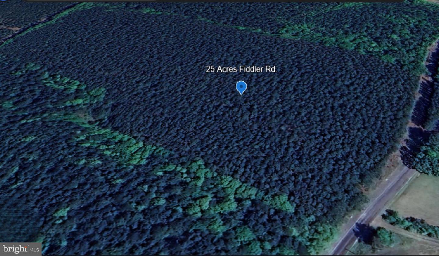 1515 FIDDLERS RD, EMPORIA, Virginia 23847, ,Land,For sale,1515 FIDDLERS RD,VAGE2000024 MLS # VAGE2000024