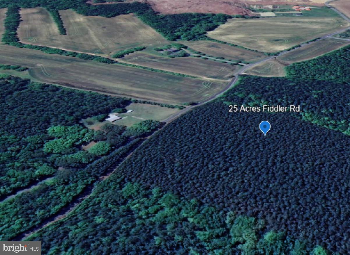 1515 FIDDLERS RD, EMPORIA, Virginia 23847, ,Land,For sale,1515 FIDDLERS RD,VAGE2000024 MLS # VAGE2000024