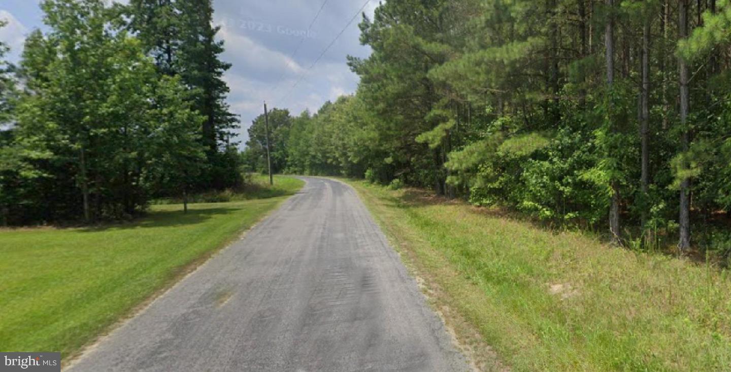 1515 FIDDLERS RD, EMPORIA, Virginia 23847, ,Land,For sale,1515 FIDDLERS RD,VAGE2000024 MLS # VAGE2000024