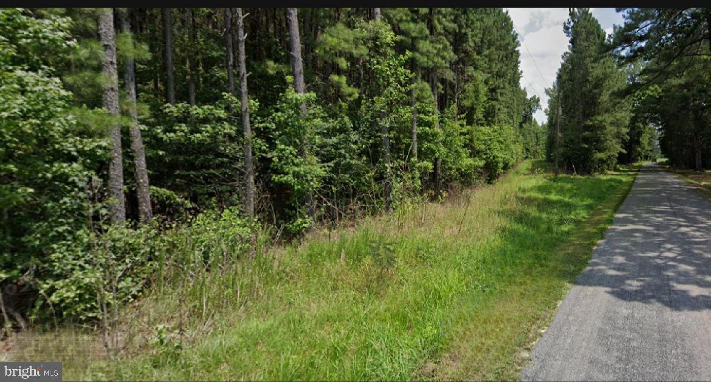 1515 FIDDLERS RD, EMPORIA, Virginia 23847, ,Land,For sale,1515 FIDDLERS RD,VAGE2000024 MLS # VAGE2000024