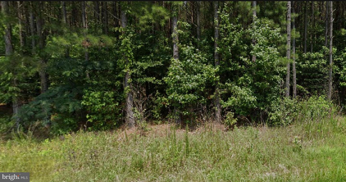 1515 FIDDLERS RD, EMPORIA, Virginia 23847, ,Land,For sale,1515 FIDDLERS RD,VAGE2000024 MLS # VAGE2000024