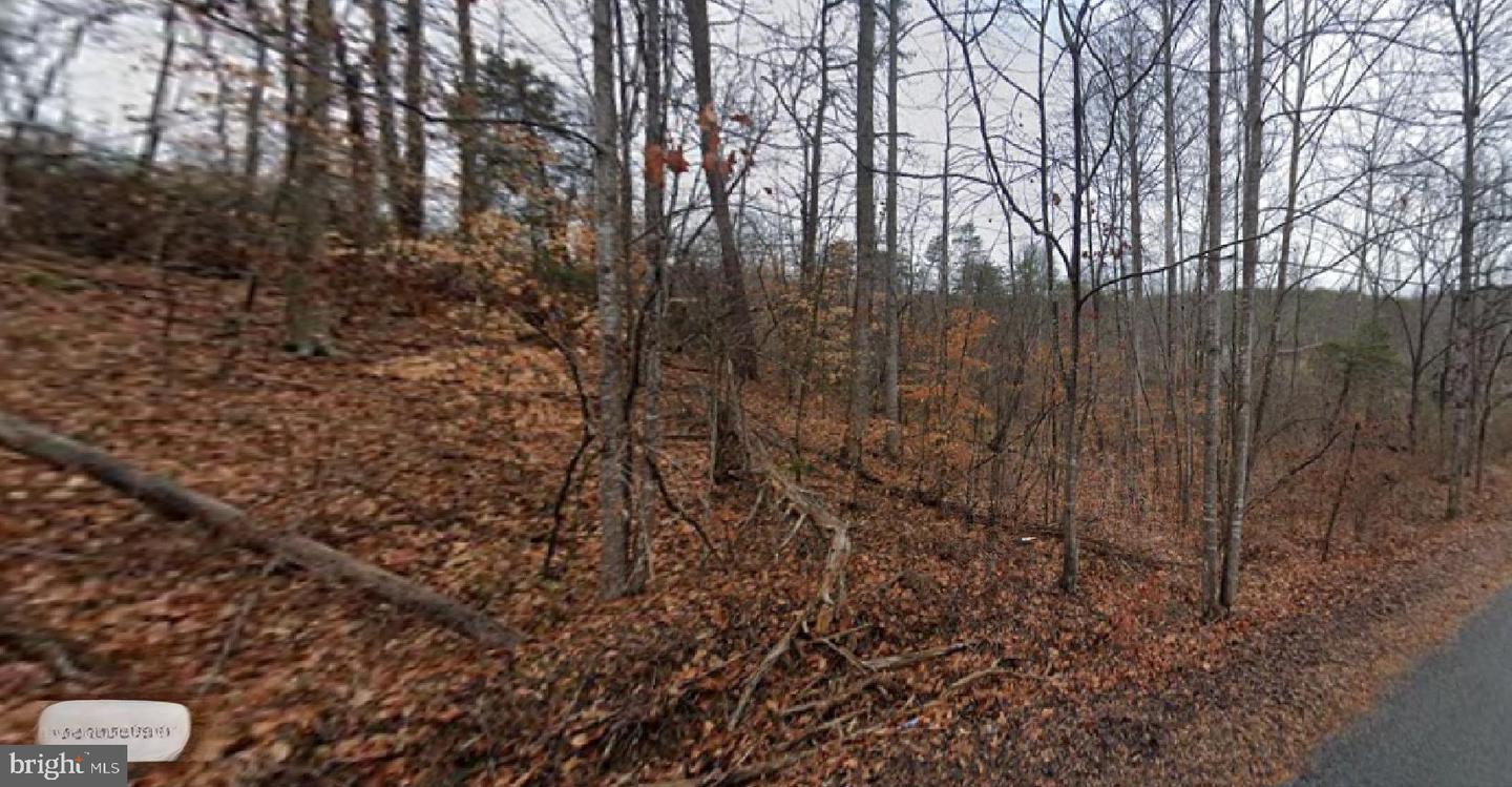0 HORSESHOE POINT RD, HENRY, Virginia 24102, ,Land,For sale,0 HORSESHOE POINT RD,VAFK2000096 MLS # VAFK2000096