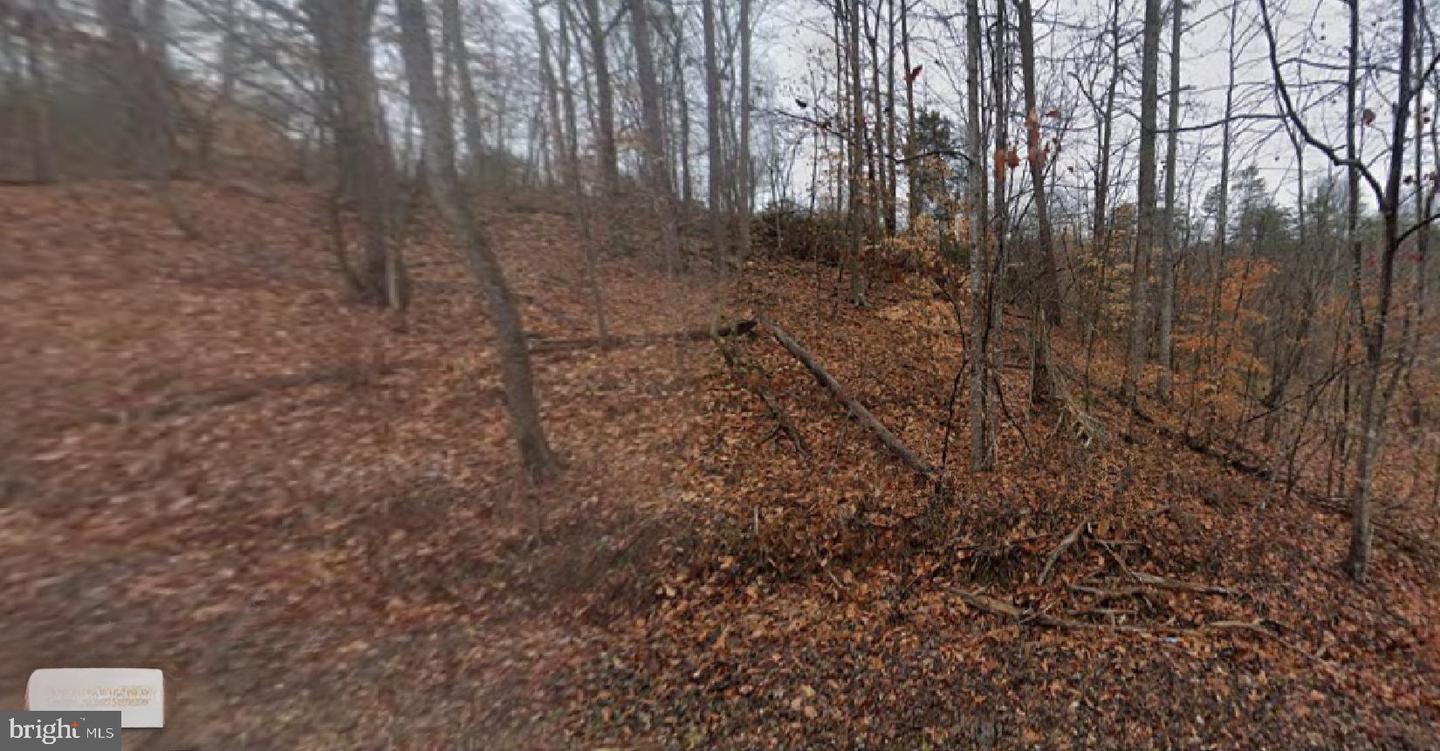 0 HORSESHOE POINT RD, HENRY, Virginia 24102, ,Land,For sale,0 HORSESHOE POINT RD,VAFK2000096 MLS # VAFK2000096