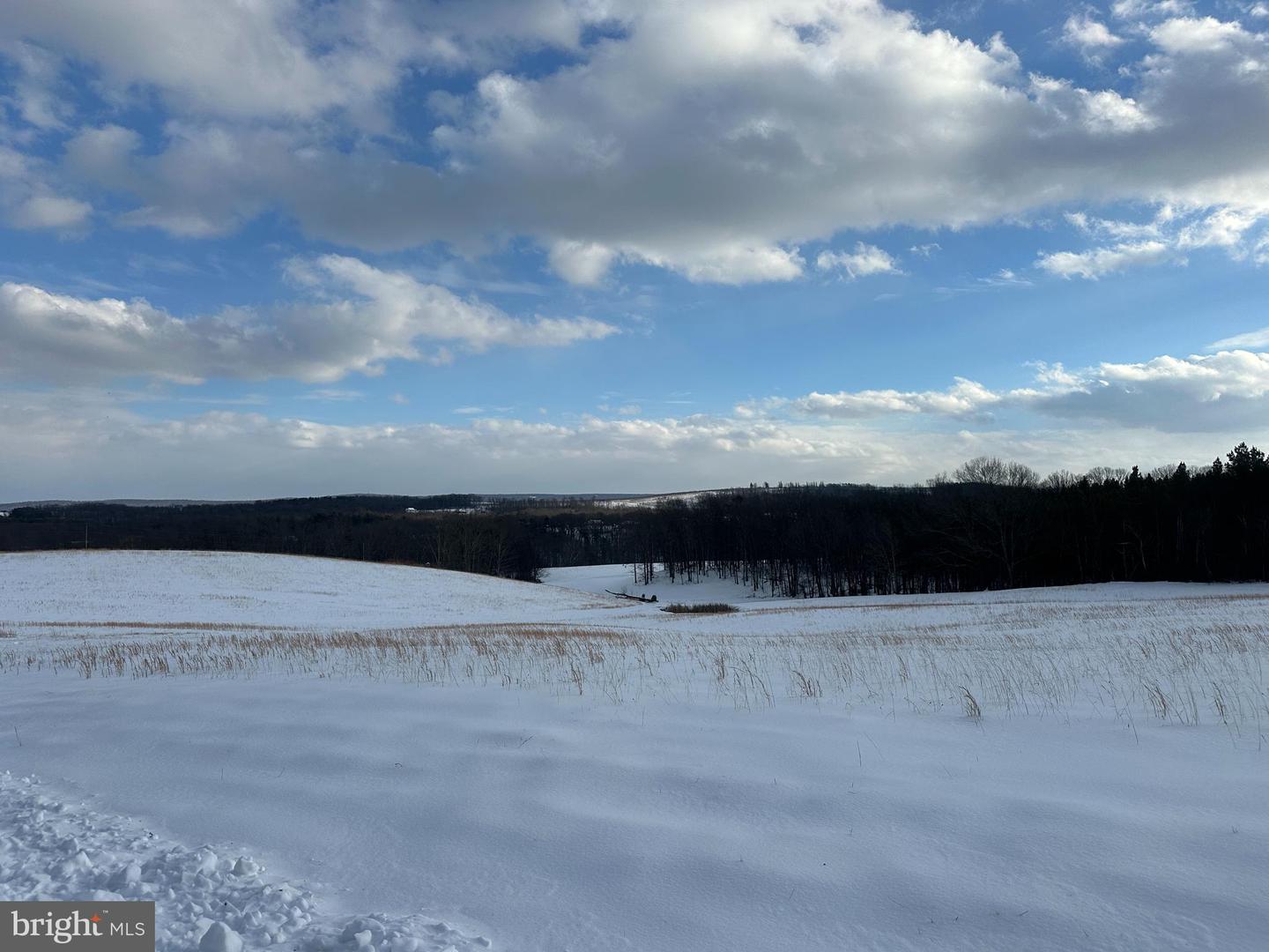 0 HOLLOW RD, GORE, Virginia 22637, ,Land,For sale,0 HOLLOW RD,VAFV2039230 MLS # VAFV2039230