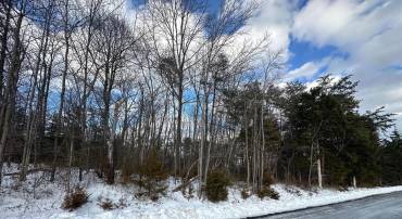 0 HOLLOW RD, GORE, Virginia 22637, ,Land,For sale,0 HOLLOW RD,VAFV2039230 MLS # VAFV2039230
