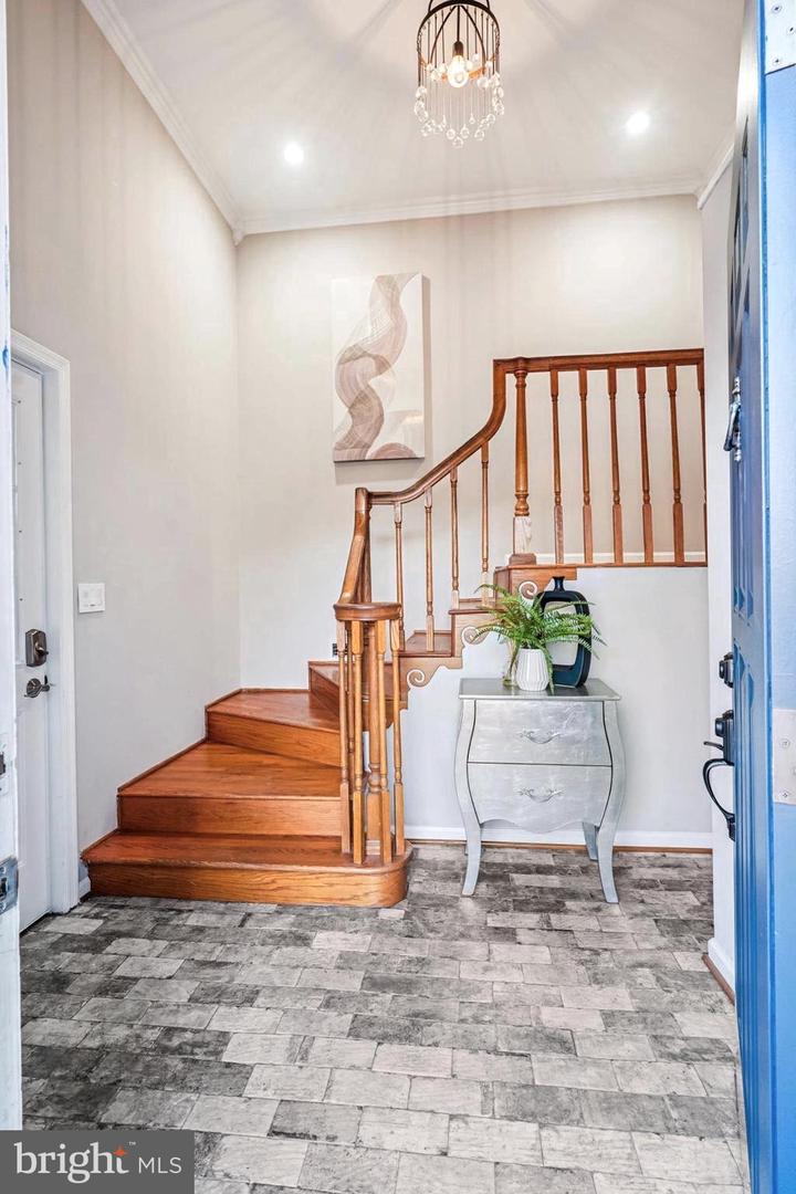 9016 GREYLOCK ST, ALEXANDRIA, Virginia 22308, 5 Bedrooms Bedrooms, ,3 BathroomsBathrooms,Residential,For sale,9016 GREYLOCK ST,VAFX2279248 MLS # VAFX2279248 9016 GREYLOCK ST, ALEXANDRIA, Virginia 22308, 5 Bedrooms Bedrooms, ,3 BathroomsBathrooms,Residential,For sale,9016 GREYLOCK ST,VAFX2279248 MLS # VAFX2279248