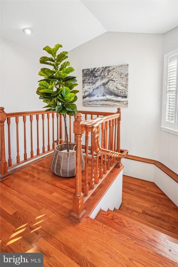 9016 GREYLOCK ST, ALEXANDRIA, Virginia 22308, 5 Bedrooms Bedrooms, ,3 BathroomsBathrooms,Residential,For sale,9016 GREYLOCK ST,VAFX2279248 MLS # VAFX2279248 9016 GREYLOCK ST, ALEXANDRIA, Virginia 22308, 5 Bedrooms Bedrooms, ,3 BathroomsBathrooms,Residential,For sale,9016 GREYLOCK ST,VAFX2279248 MLS # VAFX2279248