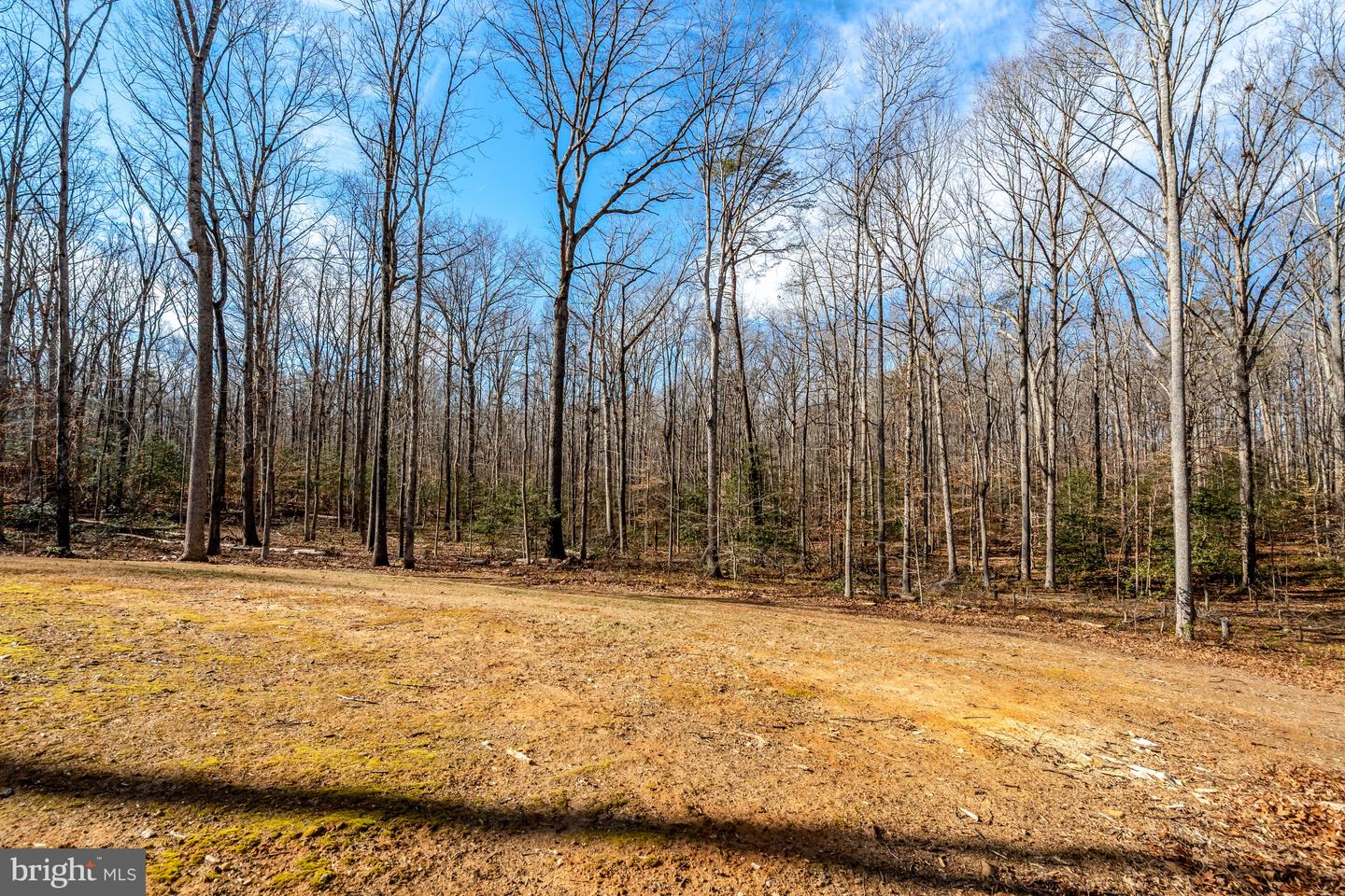 116 HIDDEN LN, STAFFORD, Virginia 22556, 5 Bedrooms Bedrooms, ,3 BathroomsBathrooms,Residential,For sale,116 HIDDEN LN,VAST2044904 MLS # VAST2044904