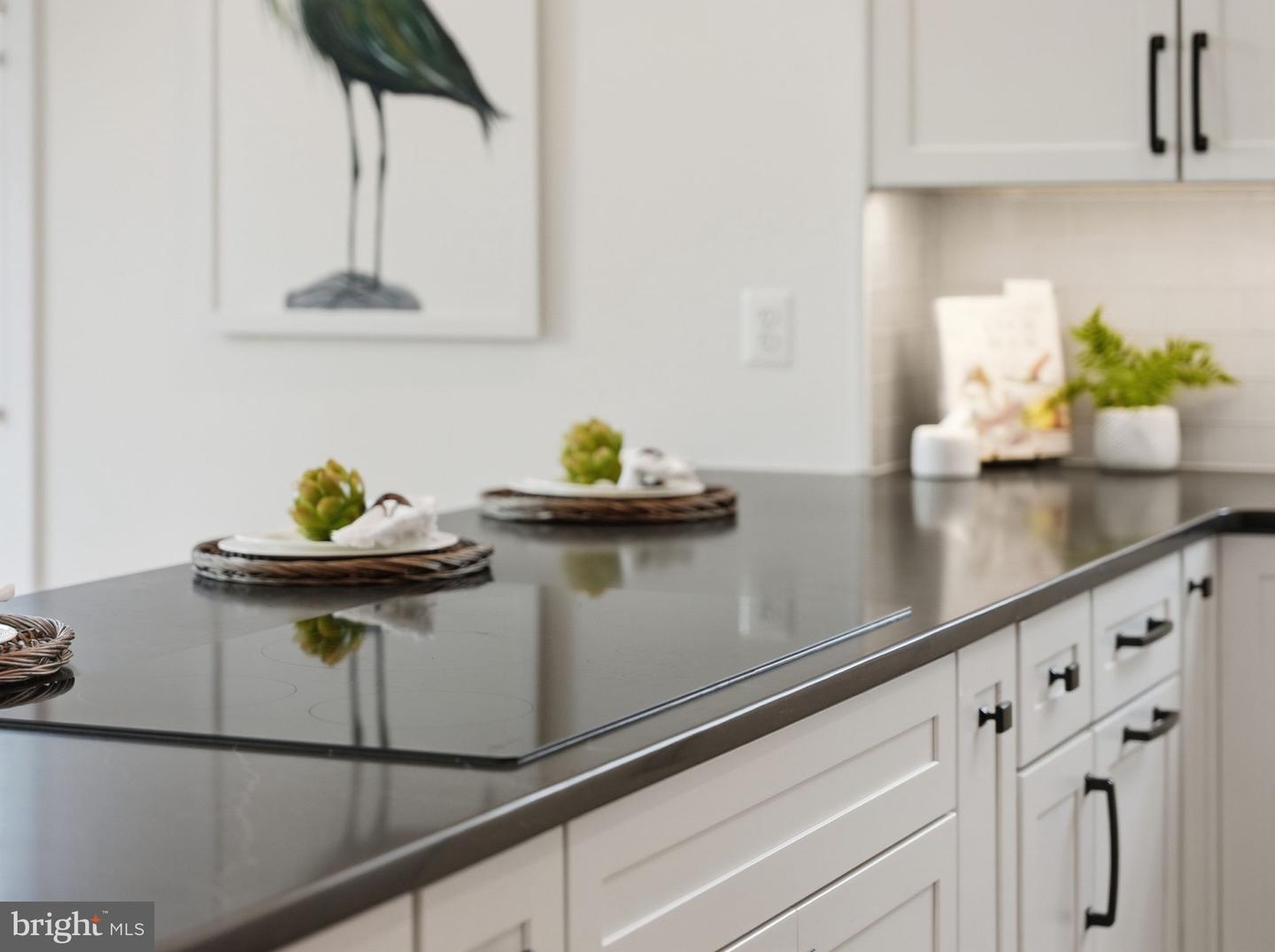 1614 N JACKSON ST, ARLINGTON, Virginia 22201, 4 Bedrooms Bedrooms, ,4 BathroomsBathrooms,Residential,For sale,1614 N JACKSON ST,VAAR2067410 MLS # VAAR2067410