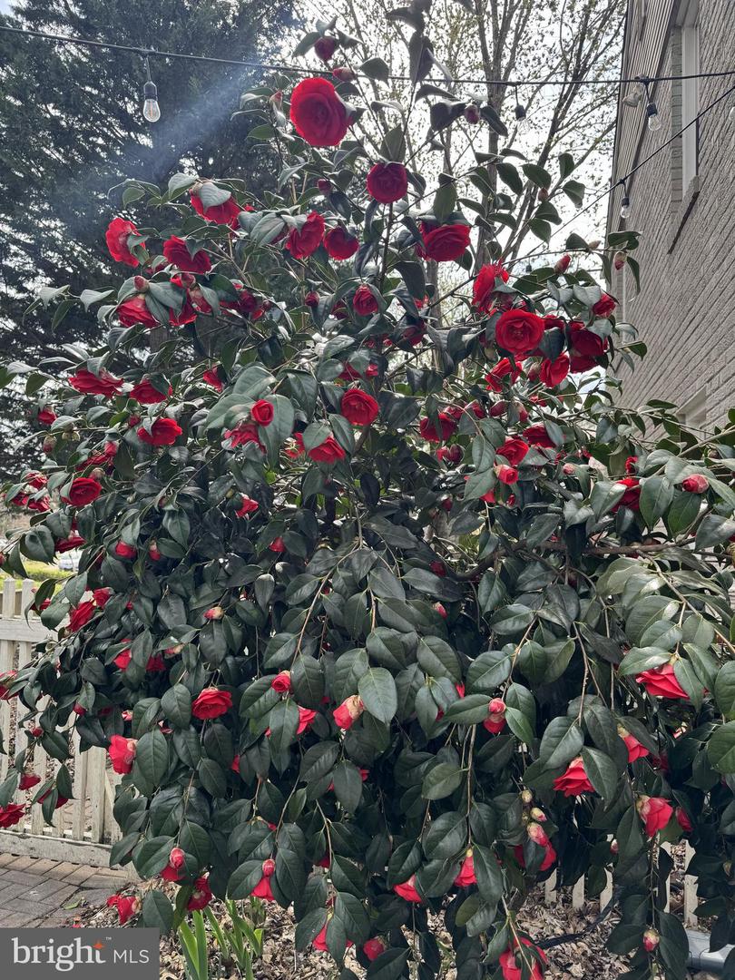 5915 EDGEHILL DR, ALEXANDRIA, Virginia 22303, 3 Bedrooms Bedrooms, ,2 BathroomsBathrooms,Residential,For sale,5915 EDGEHILL DR,VAFX2285658 MLS # VAFX2285658