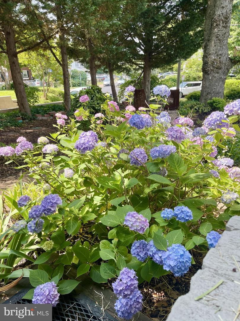 5915 EDGEHILL DR, ALEXANDRIA, Virginia 22303, 3 Bedrooms Bedrooms, ,2 BathroomsBathrooms,Residential,For sale,5915 EDGEHILL DR,VAFX2285658 MLS # VAFX2285658