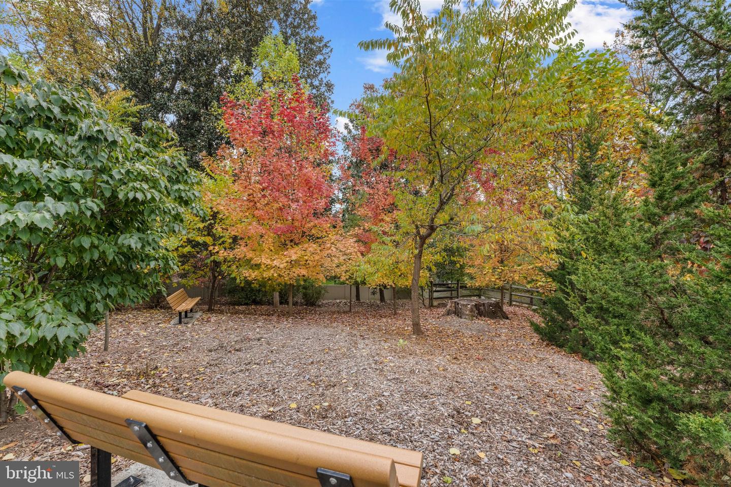 6201 CHAMPION OAK CT, FALLS CHURCH, Virginia 22044, 5 Bedrooms Bedrooms, ,4 BathroomsBathrooms,Residential,For sale,6201 CHAMPION OAK CT,VAFX2285910 MLS # VAFX2285910