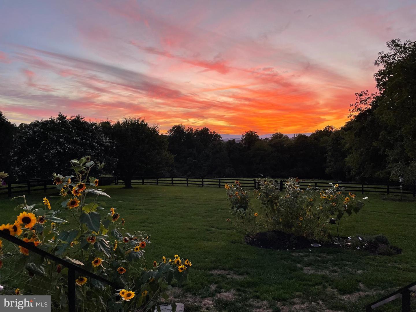 19075 FOXGREEN CIR, LEESBURG, Virginia 20175, 4 Bedrooms Bedrooms, ,4 BathroomsBathrooms,Residential,For sale,19075 FOXGREEN CIR,VALO2114014 MLS # VALO2114014