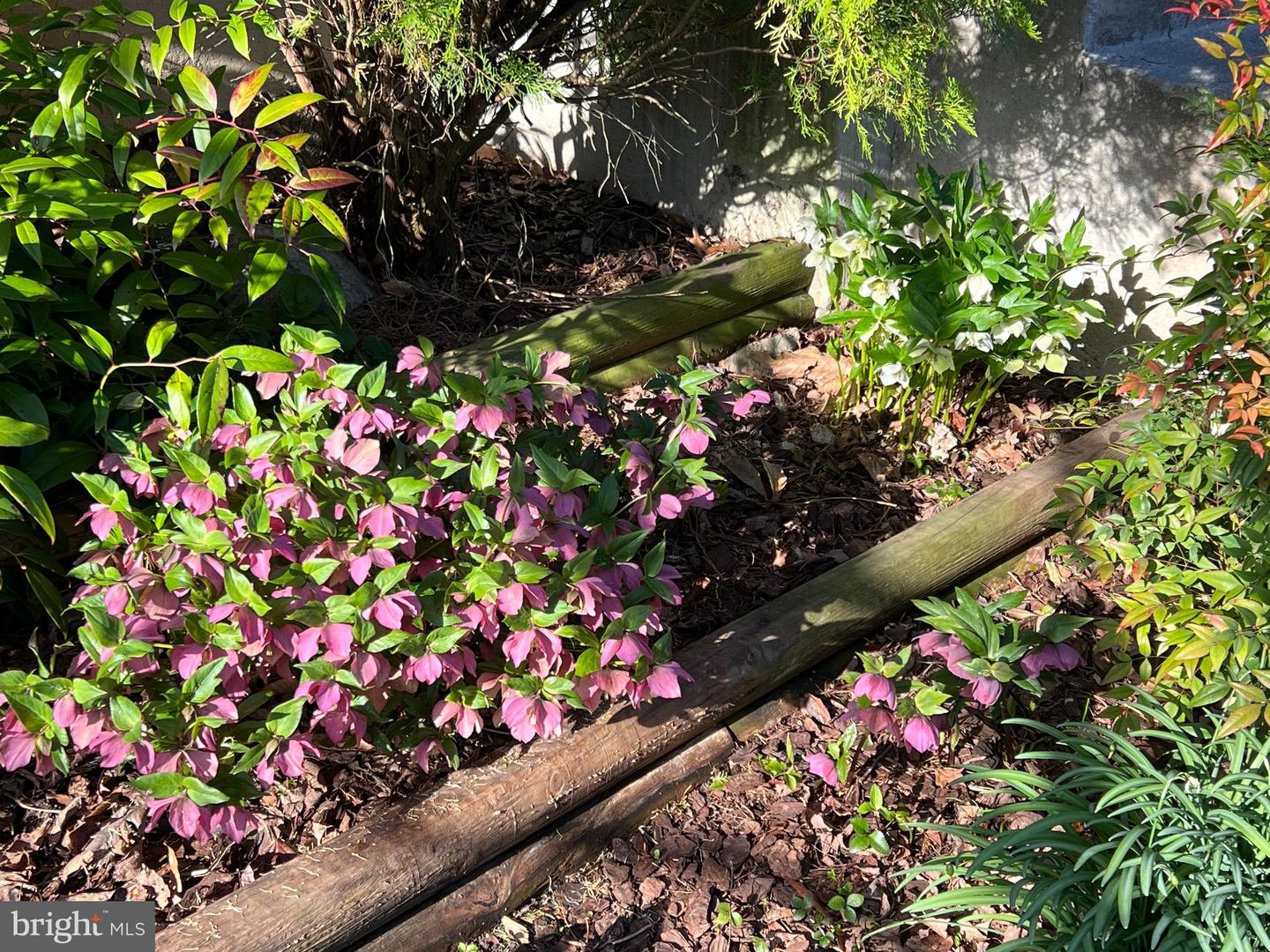 13855 LAURA RATCLIFF CT, CENTREVILLE, Virginia 20121, 3 Bedrooms Bedrooms, ,2 BathroomsBathrooms,Residential,For sale,13855 LAURA RATCLIFF CT,VAFX2285964 MLS # VAFX2285964