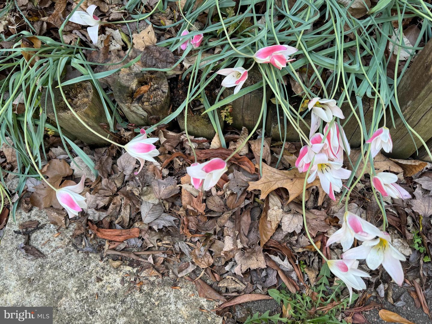 13855 LAURA RATCLIFF CT, CENTREVILLE, Virginia 20121, 3 Bedrooms Bedrooms, ,2 BathroomsBathrooms,Residential,For sale,13855 LAURA RATCLIFF CT,VAFX2285964 MLS # VAFX2285964