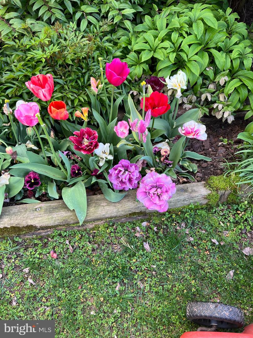 13855 LAURA RATCLIFF CT, CENTREVILLE, Virginia 20121, 3 Bedrooms Bedrooms, ,2 BathroomsBathrooms,Residential,For sale,13855 LAURA RATCLIFF CT,VAFX2285964 MLS # VAFX2285964