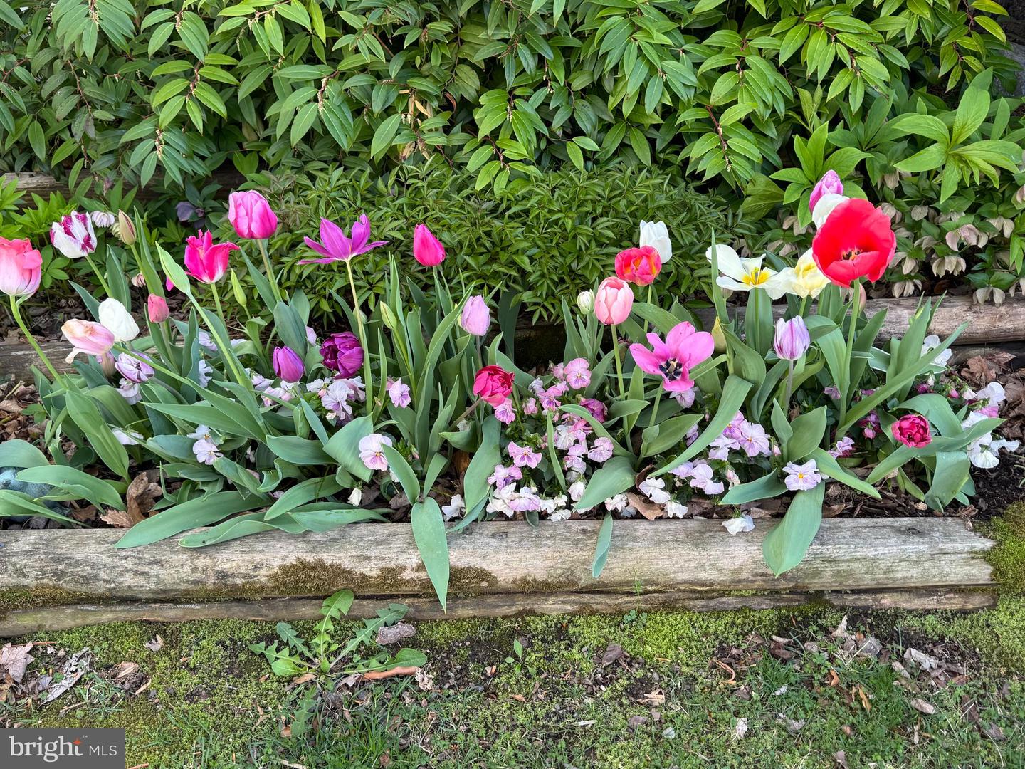 13855 LAURA RATCLIFF CT, CENTREVILLE, Virginia 20121, 3 Bedrooms Bedrooms, ,2 BathroomsBathrooms,Residential,For sale,13855 LAURA RATCLIFF CT,VAFX2285964 MLS # VAFX2285964