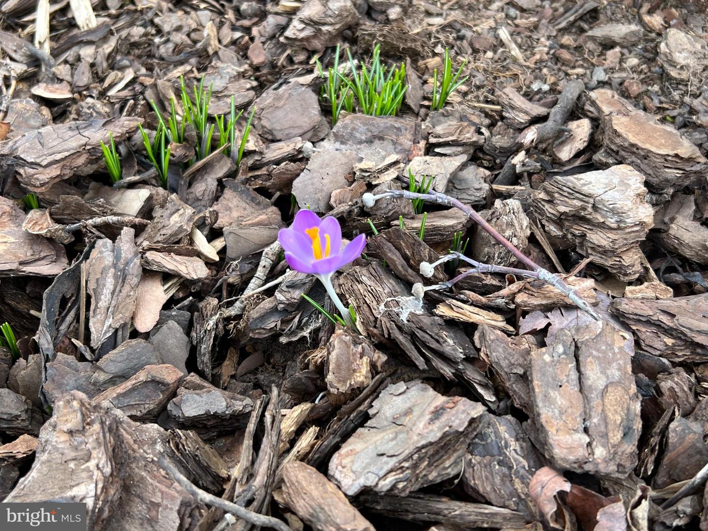 13855 LAURA RATCLIFF CT, CENTREVILLE, Virginia 20121, 3 Bedrooms Bedrooms, ,2 BathroomsBathrooms,Residential,For sale,13855 LAURA RATCLIFF CT,VAFX2285964 MLS # VAFX2285964