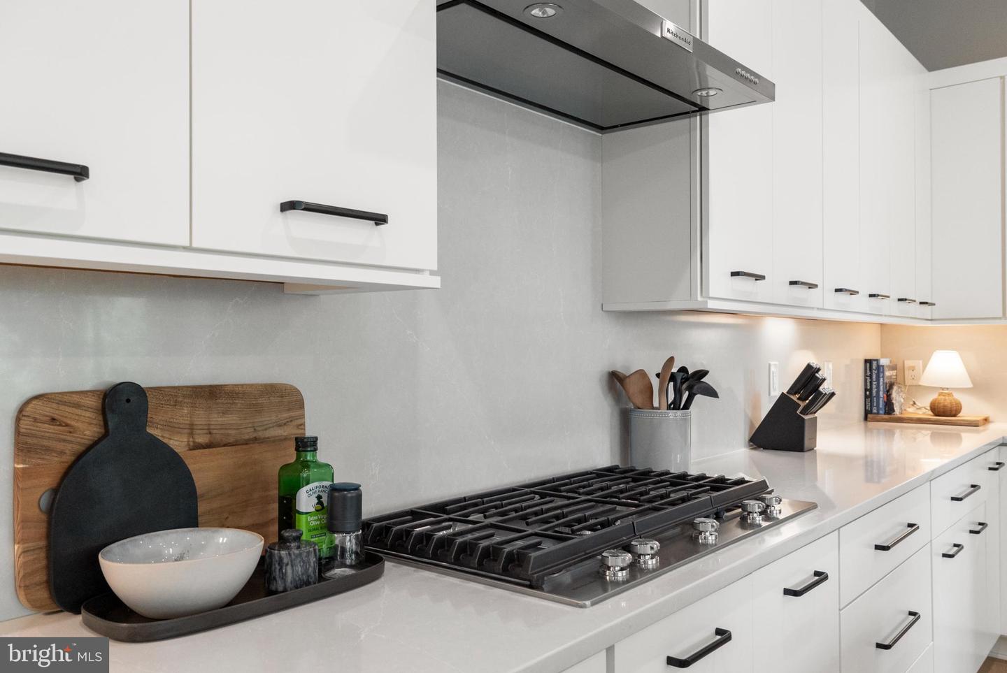 43442 CROSON LN #100, ASHBURN, Virginia 20148, 3 Bedrooms Bedrooms, ,3 BathroomsBathrooms,Residential,For sale,43442 CROSON LN #100,VALO2114130 MLS # VALO2114130