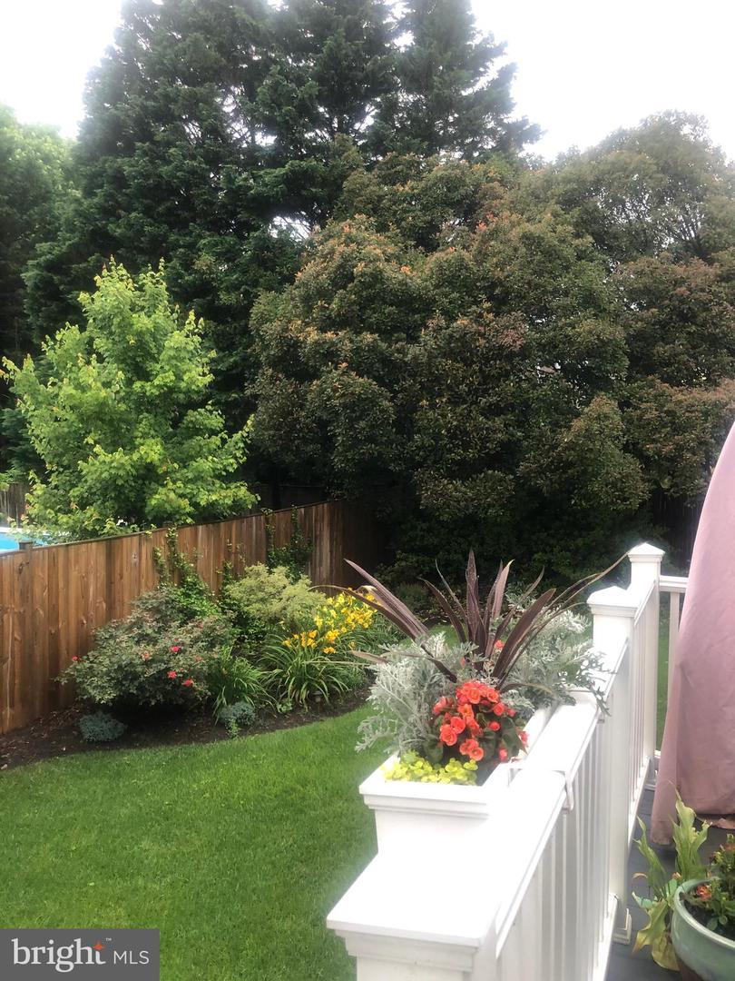 8113 WELLINGTON RD, ALEXANDRIA, Virginia 22308, 5 Bedrooms Bedrooms, ,4 BathroomsBathrooms,Residential,For sale,8113 WELLINGTON RD,VAFX2286738 MLS # VAFX2286738