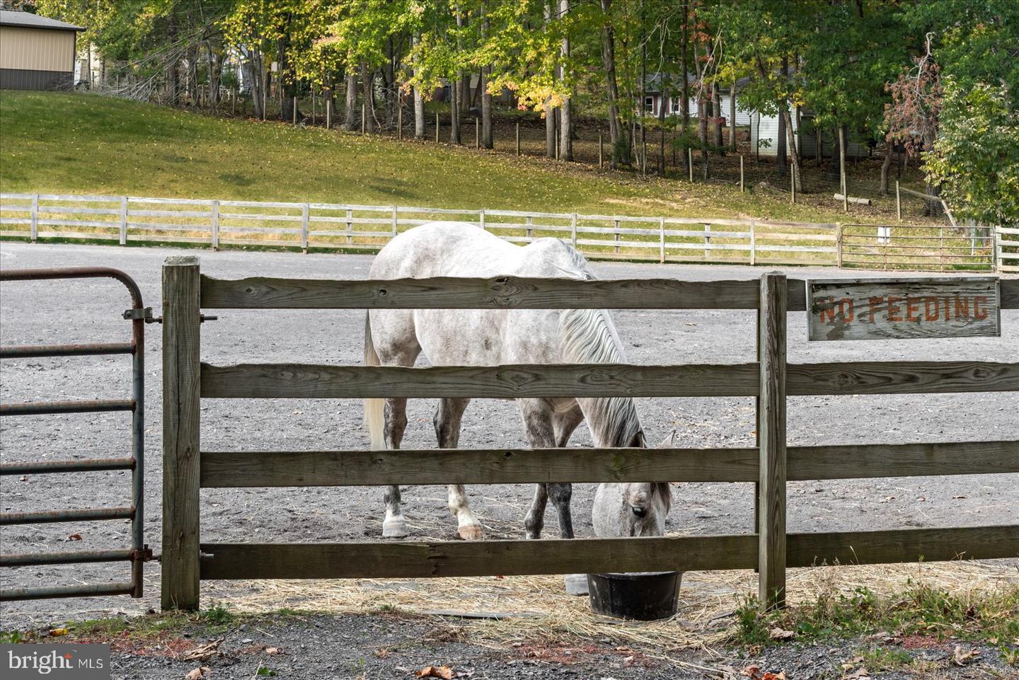 142 YORKTOWN BLVD, LOCUST GROVE, Virginia 22508, 3 Bedrooms Bedrooms, 7 Rooms Rooms,2 BathroomsBathrooms,Residential,For sale,142 YORKTOWN BLVD,VAOR2013172 MLS # VAOR2013172