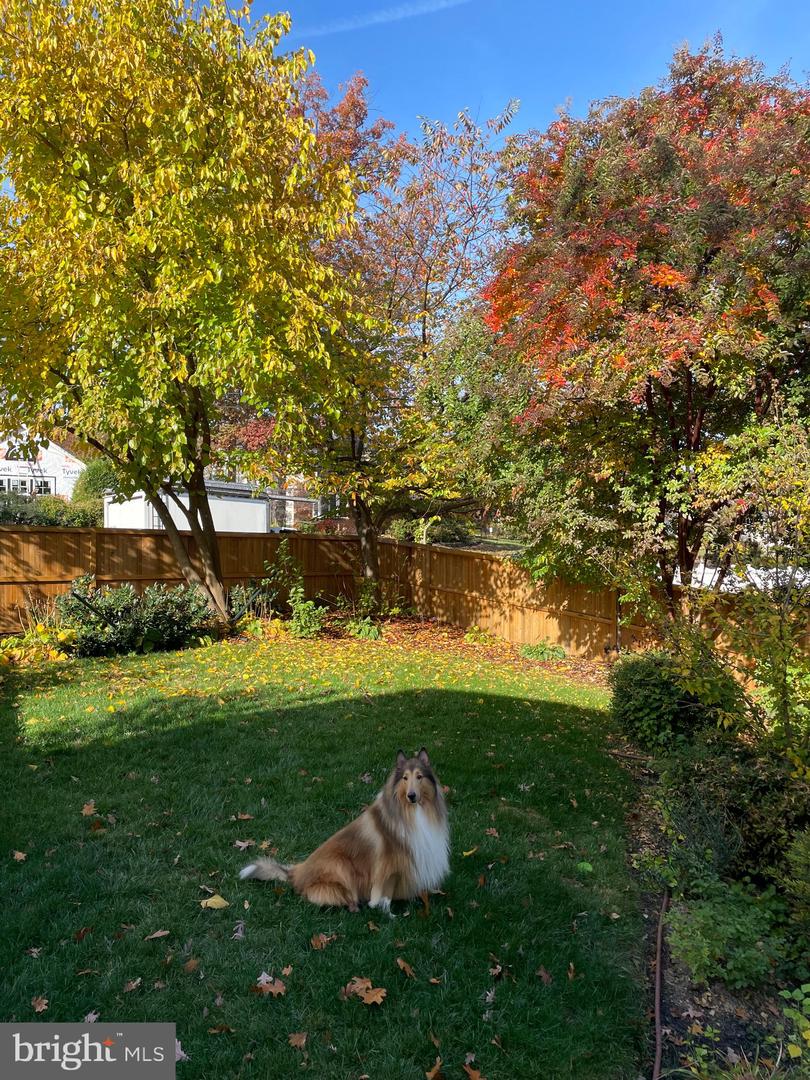 813 BEVERLEY DR, ALEXANDRIA, Virginia 22302, 5 Bedrooms Bedrooms, ,4 BathroomsBathrooms,Residential,For sale,813 BEVERLEY DR,VAAX2053454 MLS # VAAX2053454 813 BEVERLEY DR, ALEXANDRIA, Virginia 22302, 5 Bedrooms Bedrooms, ,4 BathroomsBathrooms,Residential,For sale,813 BEVERLEY DR,VAAX2053454 MLS # VAAX2053454