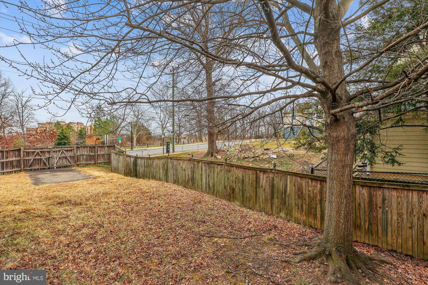 2500 12TH ST N, ARLINGTON, Virginia 22201, 5 Bedrooms Bedrooms, ,4 BathroomsBathrooms,Residential,For sale,2500 12TH ST N,VAAR2068074 MLS # VAAR2068074