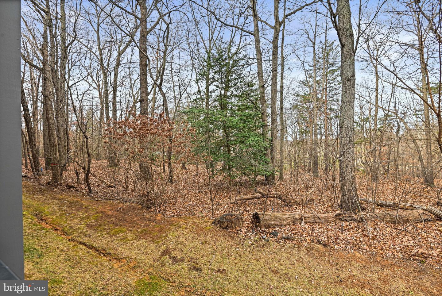 1669 BANDIT LOOP #109A, RESTON, Virginia 20190, 2 Bedrooms Bedrooms, ,2 BathroomsBathrooms,Residential,For sale,1669 BANDIT LOOP #109A,VAFX2287324 MLS # VAFX2287324