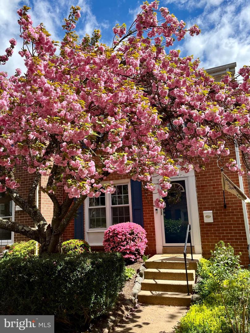 11872 SAINT TRINIANS CT, RESTON, Virginia 20191, 3 Bedrooms Bedrooms, ,2 BathroomsBathrooms,Residential,For sale,11872 SAINT TRINIANS CT,VAFX2287526 MLS # VAFX2287526