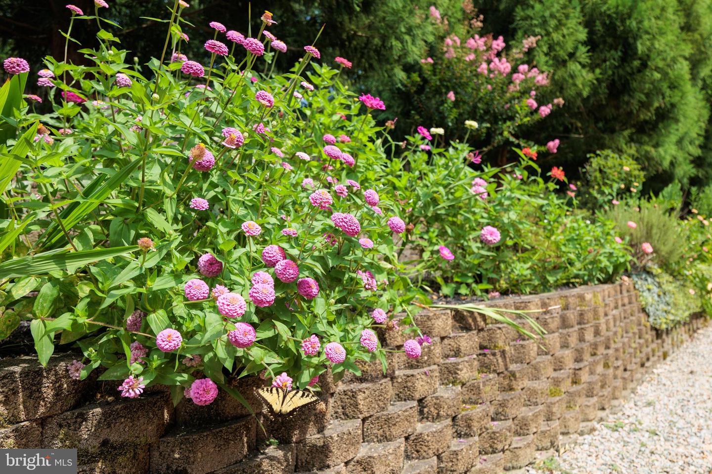 2303 BREAM DR, MIDLOTHIAN, Virginia 23113, 6 Bedrooms Bedrooms, 18 Rooms Rooms,6 BathroomsBathrooms,Residential,For sale,2303 BREAM DR,VACF2001112 MLS # VACF2001112