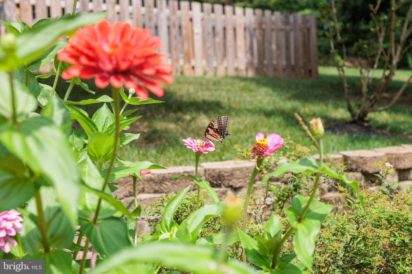 2303 BREAM DR, MIDLOTHIAN, Virginia 23113, 6 Bedrooms Bedrooms, 18 Rooms Rooms,6 BathroomsBathrooms,Residential,For sale,2303 BREAM DR,VACF2001112 MLS # VACF2001112