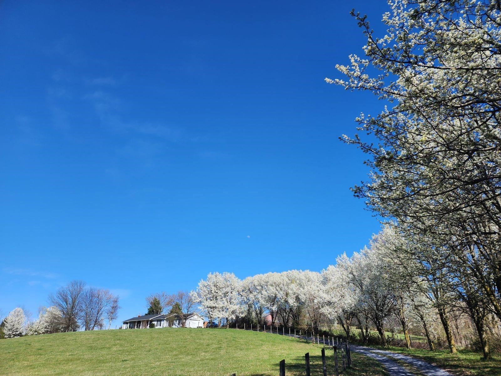 4083 ROCKFISH RD, GROTTOES, Virginia 24441, 4 Bedrooms Bedrooms, ,2 BathroomsBathrooms,Residential,4083 ROCKFISH RD,672568 MLS # 672568 4083 ROCKFISH RD, GROTTOES, Virginia 24441, 4 Bedrooms Bedrooms, ,2 BathroomsBathrooms,Residential,4083 ROCKFISH RD,672568 MLS # 672568