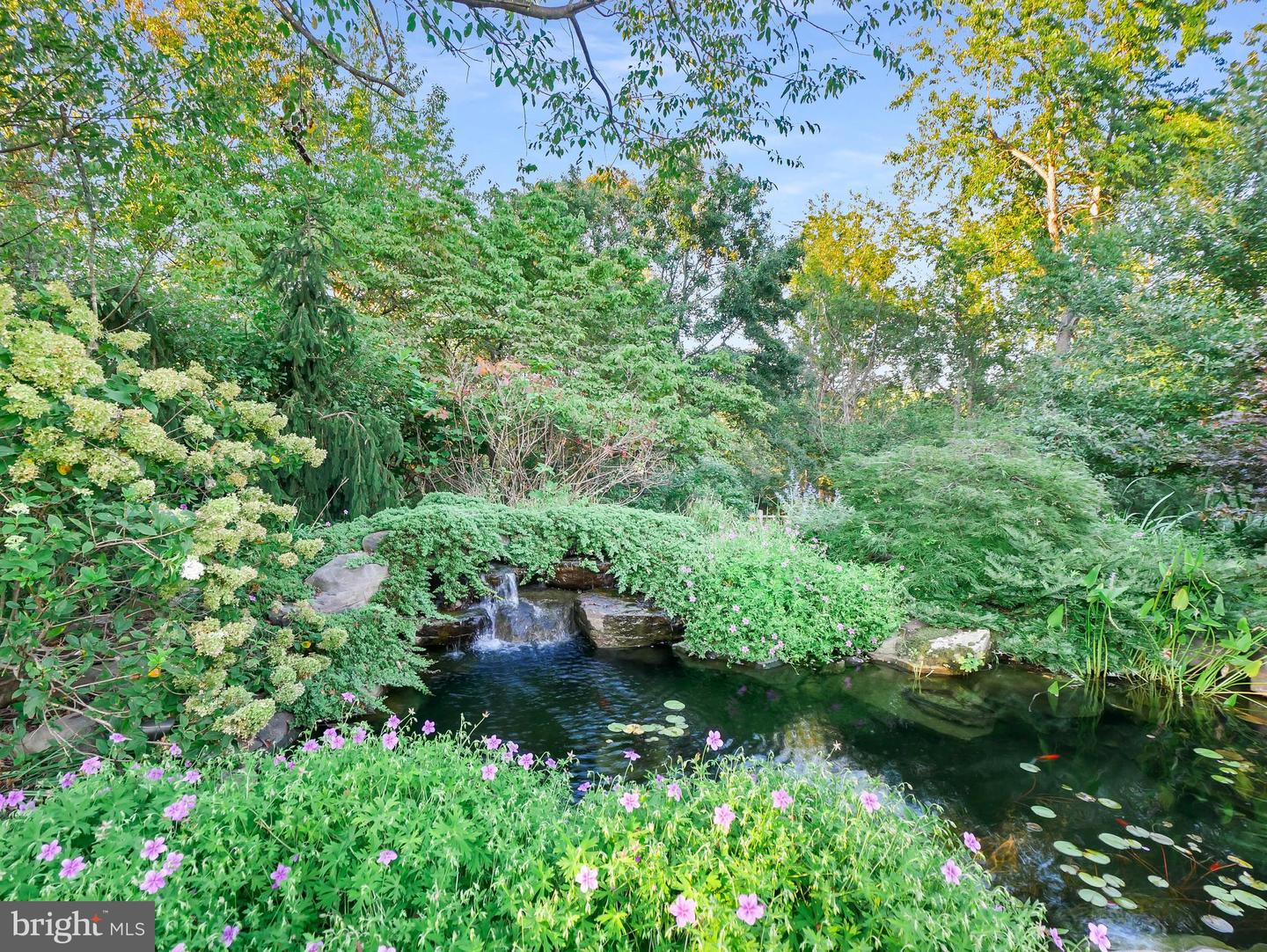 36789 SNICKERSVILLE TPKE, PURCELLVILLE, Virginia 20132, 4 Bedrooms Bedrooms, ,6 BathroomsBathrooms,Residential,For sale,36789 SNICKERSVILLE TPKE,VALO2110582 MLS # VALO2110582