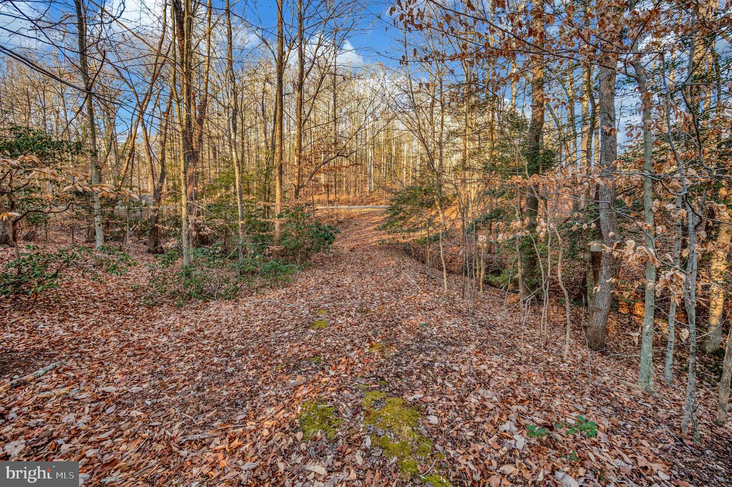 93 DENT RD, STAFFORD, Virginia 22554, ,Land,For sale,93 DENT RD,VAST2045380 MLS # VAST2045380