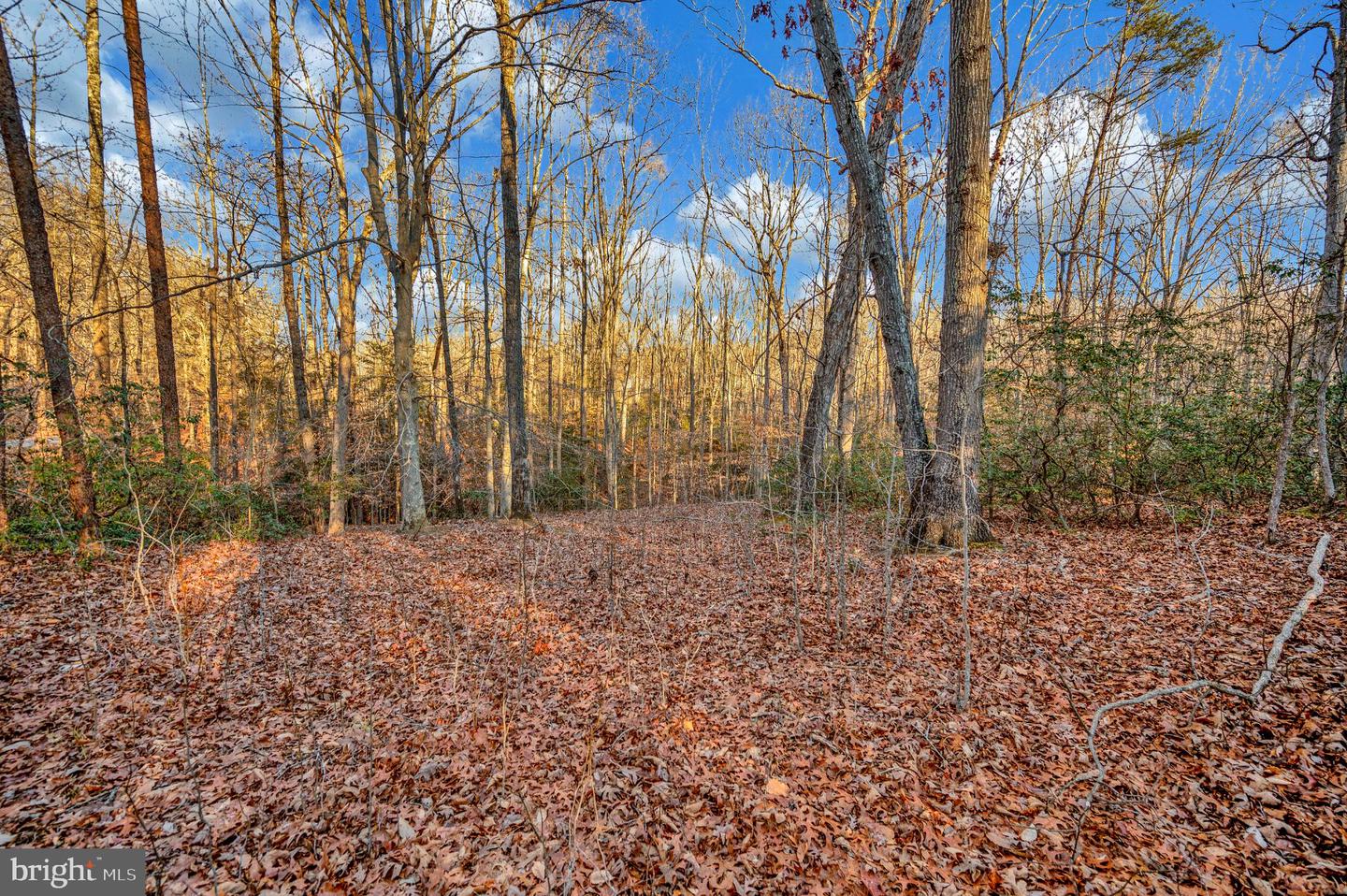 93 DENT RD, STAFFORD, Virginia 22554, ,Land,For sale,93 DENT RD,VAST2045380 MLS # VAST2045380