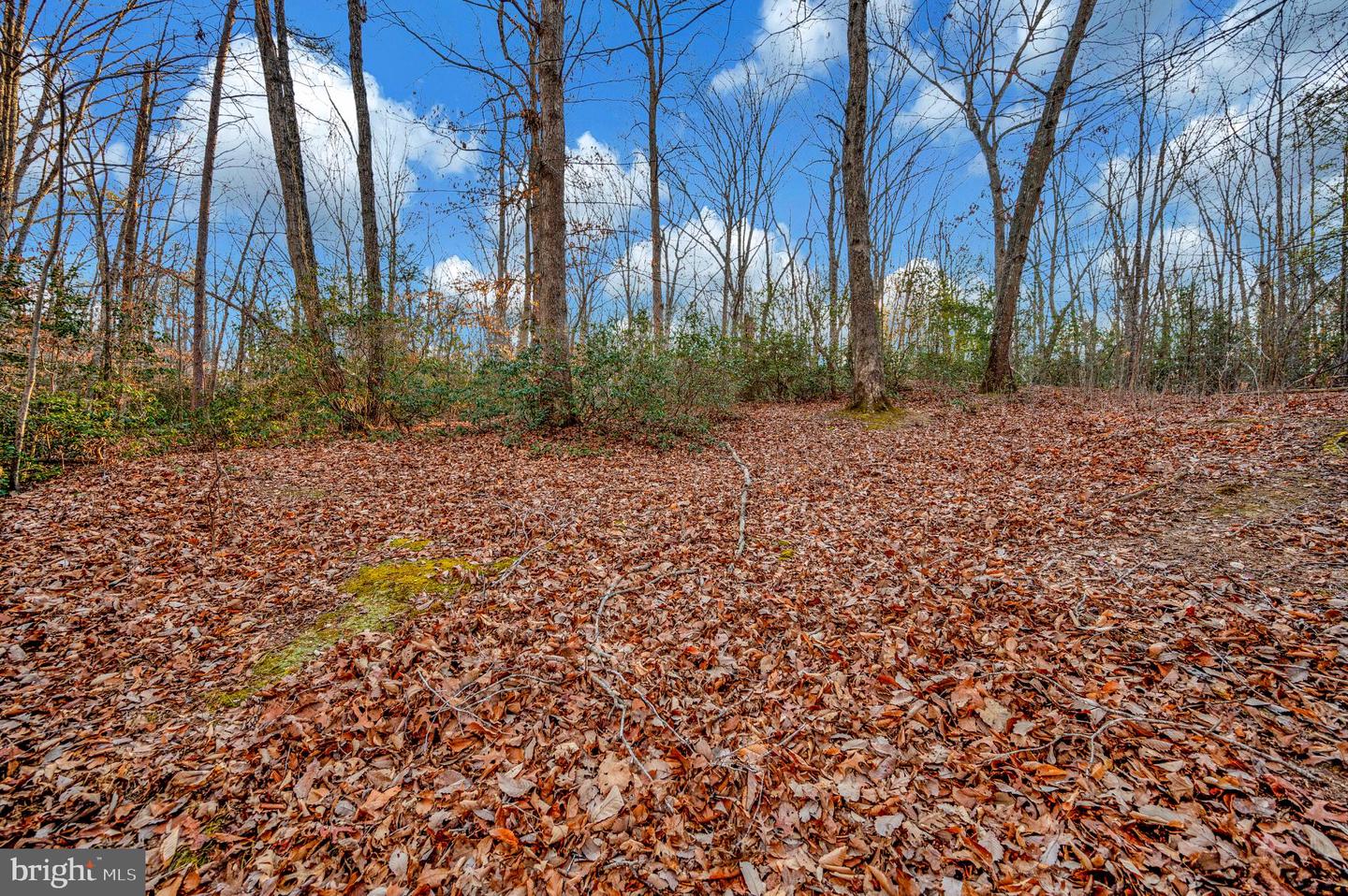 93 DENT RD, STAFFORD, Virginia 22554, ,Land,For sale,93 DENT RD,VAST2045380 MLS # VAST2045380