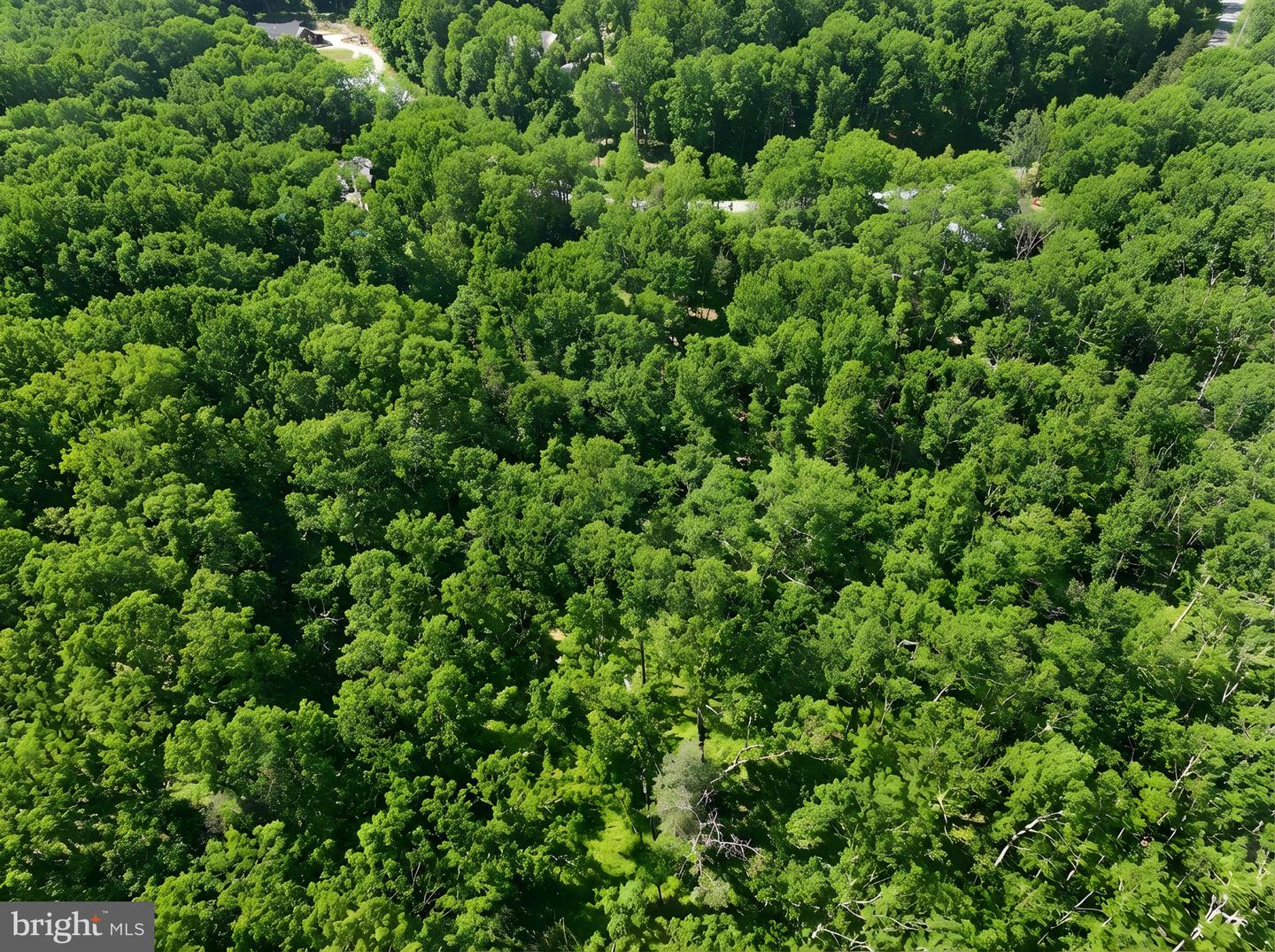 93 DENT RD, STAFFORD, Virginia 22554, ,Land,For sale,93 DENT RD,VAST2045380 MLS # VAST2045380