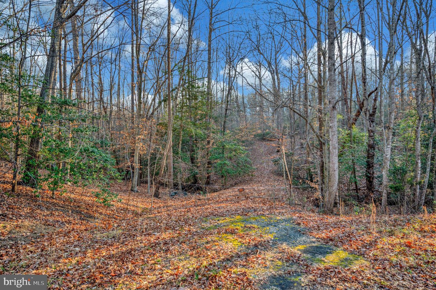 93 DENT RD, STAFFORD, Virginia 22554, ,Land,For sale,93 DENT RD,VAST2045380 MLS # VAST2045380